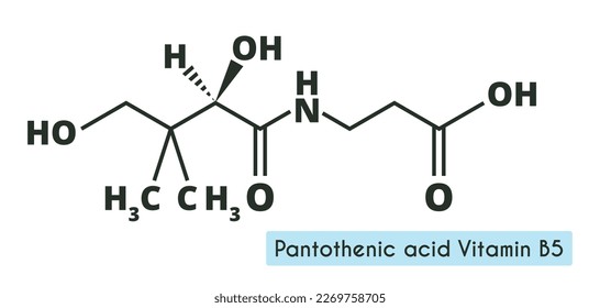 Vitamin B5 or pantothenic acid, pantothenate, molecule. Skeletal formula.