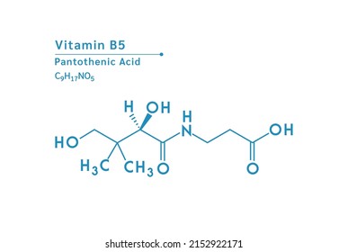 Vitamin B5 (Pantothenic Acid) structural chemical formula. Medical and scientific concepts. Isolated on white background. Vector EPS10 illustration.