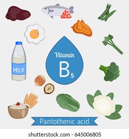 Vitamin B5 or Pantothenic Acid and vector set of vitamin B5 rich foods. Healthy lifestyle and diet concept. Daily doze of vitamin B5.