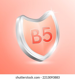 Vitamin B5 shield protected guard isolated on orange background. Protect the body stay healthy. For nutrition products food and meds for heath flu. Medical concepts. 3D Vector illustration.