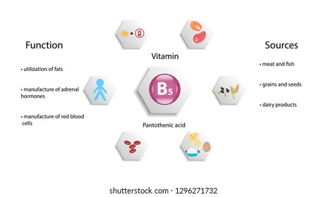 Vitamin B5 Vector Design Vitamin B5 Stock Vector (Royalty Free ...