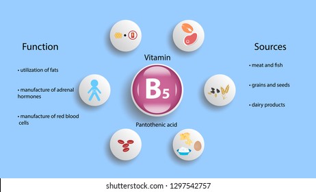 Vitamin B5 Vector Design Vitamin B5 Stock Vector (Royalty Free ...