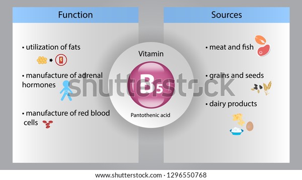 Vitamin B5 Vector Design Vitamin B5 Stock Vector (Royalty Free ...