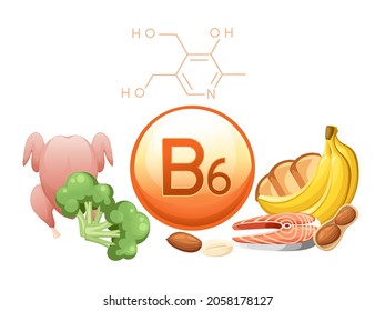 Vitamin B6 Pyridoxine acid capsule with molecular formula and the products in which it is contained vector illustration on white background