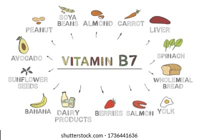 Vitamin B7 Biotin Foods Rich B7 Stock Vector (Royalty Free) 1736441636 ...