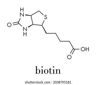 Vitamin B7 (biotin) Molecule. Skeletal Formula.