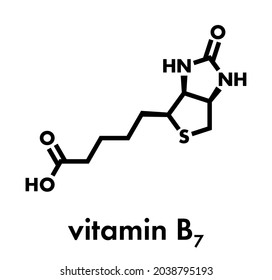 Vitamin B7 (biotin) Molecule. Skeletal Formula.