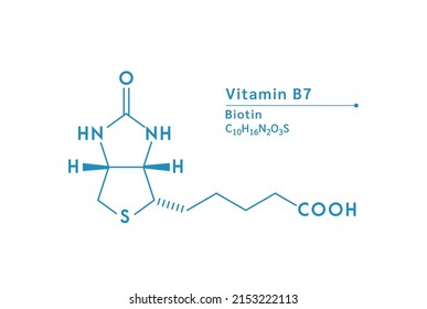 Vitamin B7 (Biotin) structural chemical formula. Medical and scientific concepts. Isolated on white background. Vector EPS10 illustration.