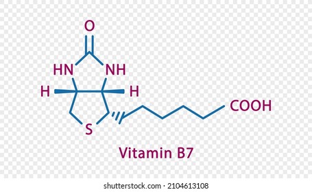 Fórmula química de vitamina B7. Fórmula química estructural de vitamina B7 aislada en un fondo transparente.