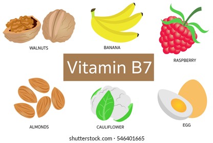 Vitamin B7 Food Sources On White Background.