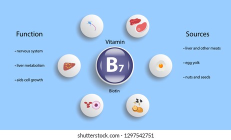 Vitamin B7 Vector Design Vitamin B7 Stock Vector (Royalty Free ...