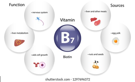 Vitamin B7 Vector Design Vitamin B7 Stock Vector (Royalty Free) 1297696372