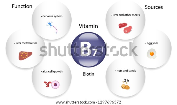 Vitamin B7 Vector Design Vitamin B7 Stock Vector (Royalty Free ...