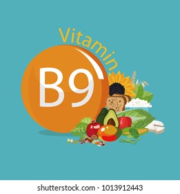 Vitamin B9 (folate). Food Sources. Natural Organic Products With The Maximum Vitamin Content.