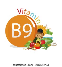 Vitamin B9 (folate). Food Sources. Natural Organic Products With The Maximum Vitamin Content.