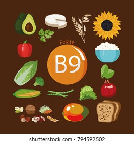 Vitamin B9 (folate). Food sources. Natural organic products with the maximum vitamin content.
