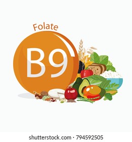 Vitamin B9 (folate). Food Sources. Natural Organic Products With The Maximum Vitamin Content.