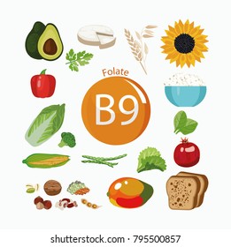 Vitamin B9 (folate). Food Sources. Natural Organic Products With The Maximum Vitamin Content.