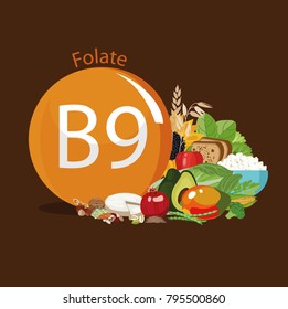 Vitamin B9 (folate). Food Sources. Natural Organic Products With The Maximum Vitamin Content.