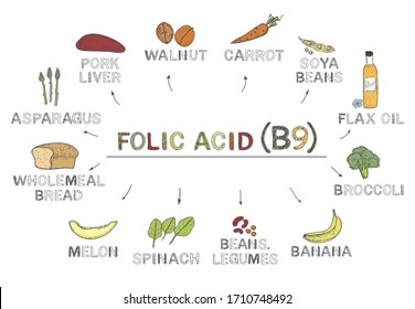 Vitamin B9 (folic acid), infographics. Foods rich in folic acid, natural products, fruits, vegetables on white background.Healthy lifestyle concept