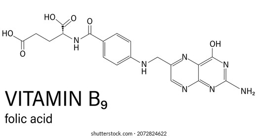 Vitamin B9 Folic Acid Molecule Skeletal Stock Vector (Royalty Free ...