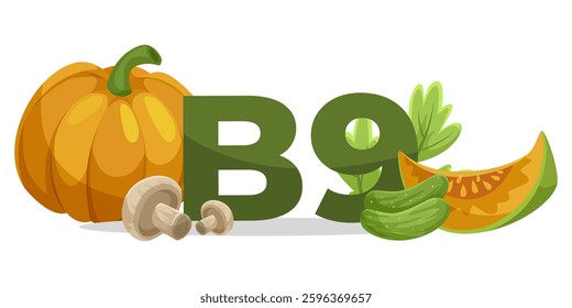 Vitamin B9 with healthy foods illustration. Vector illustration