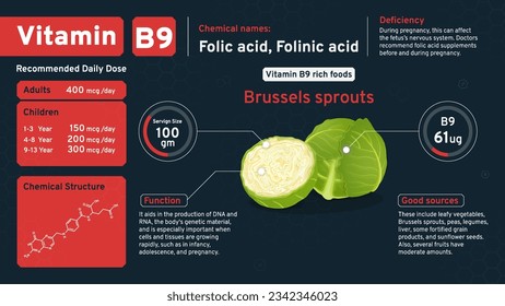 Vitamin B9 Illuminating Health from Within-Discover the Daily Dose, Chemical Power, Retinol Structure, and Rich Foods with Serving Sizes to Nourish Your Vision- Vector infographics Design