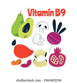 Vitamin B9 main food sources: chicken, meat, beans, broccoli. Vector illustration in a hand-drawn style. Perfect for pharmacological or medical poster, flyer, banner.