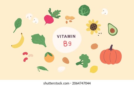 Vitamin B9 source.  Food enriched with folatin. Dairy products, vegetables, nuts.Nutrition, organic food.Vector illustration cartoon flat style.