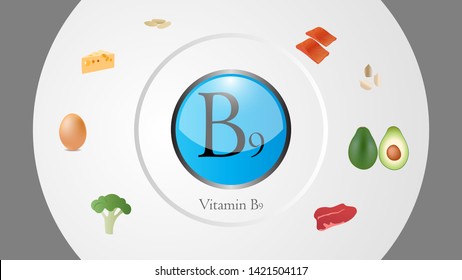 Vitamin B9 sources vector illustration