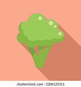 Vitamin brocoli icon flat vector. Broccoli cabbage. Salad plant