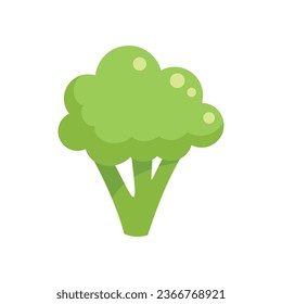 Vitamin brocoli icon flat vector. Broccoli cabbage. Salad plant isolated