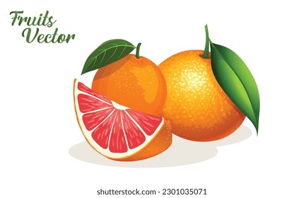 Vitamin C and other fruits design eps vector
