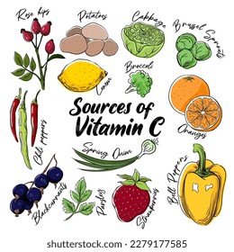 Vitamin C plant sources, vector illustration