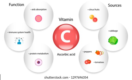 Vitamin C vector design. Vitamin C function and sources. Ascorbic acid