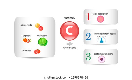 Vitamin C vector design. Vitamin C function and sources. Ascorbic acid