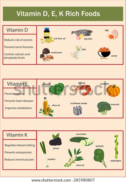 Vitamin D E K Rich Foods Stock Vector Royalty Free 285980807
