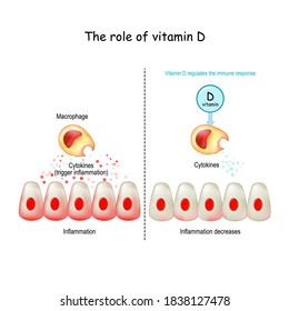 Vitamin D, immune system and COVID-19. Vitamin D regulates the immune response. cytokine storm. COVID-19 complications. Difference and comparison of healthy immune response and cytokine storm