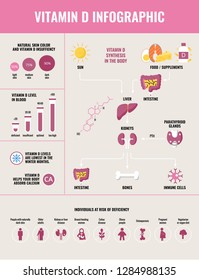 Vitamin D infographic template. Vitamin D synthesis in the human body. Risk of deficiency and it impact on human organs. svg