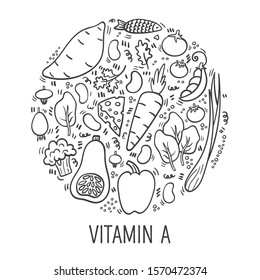 Vitamin A doodle outline illustration in circle. Hand drawn illustration of different food rich of vitamin A. - Vector. Set of food with Vitamin A and carotenoids. Broccoli, butternut squash, batat