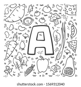 Vitamin A doodles. Hand drawn illustration of different food rich of vitamin A. Set of food with Vitamin A and carotenoids. Broccoli, butternut squash, batat, spinach, sweet potato - Vector