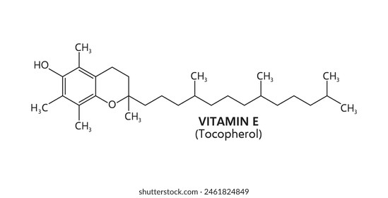 Vitamin E formula, line chemical structure of tocopherol molecular compounds. Vector chemistry, medicine and pharmacology science education, vitamin E fat soluble antioxidant structural formula