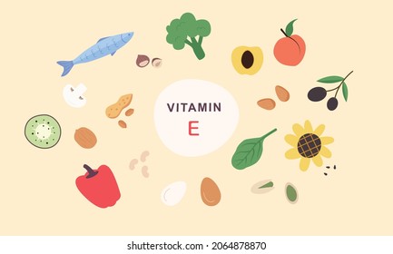 Vitamin E sources. Nutrition, organic food.Vector illustration cartoon flat style.