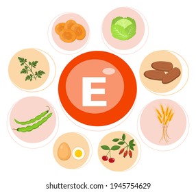 Vitamin E or Tocopherol. Food sources. Natural organic products with a maximum content of vitamin E. Fundamentals of healthy nutrition.