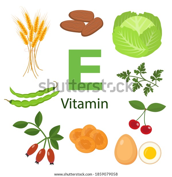 Vitamin E Tocopherol Food Sources Natural เวกเตอร์สต็อก ปลอดค่าลิขสิทธิ์ 1859079058