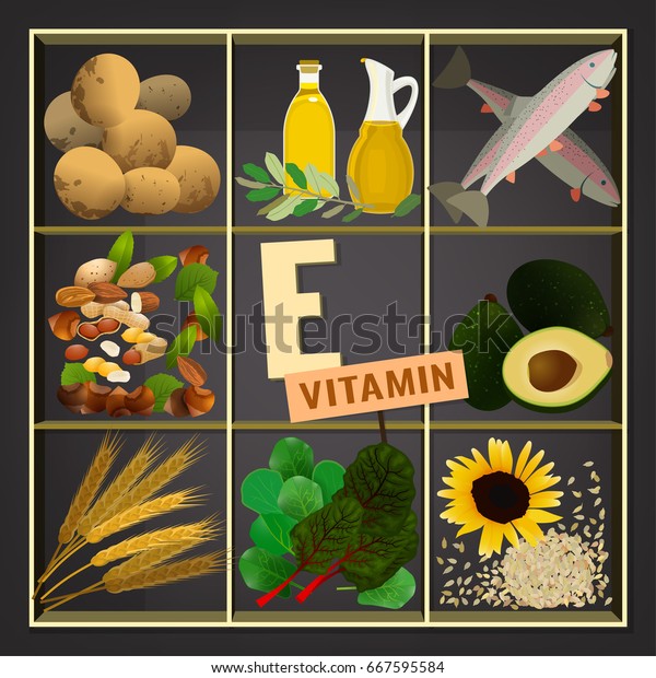 Vitamin E vector illustration. Foods containing\
vitamin E on a dark grey background. Source of vitamin E - nuts,\
corn, vegetables, fish, oils. Medical, healthcare and dietary\
creative concept.