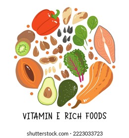 Vitamin e vector stock illustration. Food products with a high content of the tocopherol. kiwi, mamey sapote, swiss chard, red sweet pepper, avocado, butternut squash, brazil nuts, peanuts, salmon