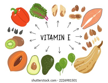 Vitamin e vector stock illustration. Food products with a high content of the tocopherol. kiwi, mamey sapote, swiss chard, red sweet pepper, avocado, butternut squash, brazil nuts, peanuts, salmon