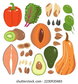 Vitamin e vector stock illustration. Food products with a high content of the tocopherol. kiwi, mamey sapote, swiss chard, red sweet pepper, avocado, butternut squash, brazil nuts, peanuts, salmon