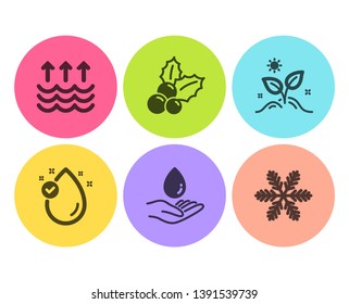 Vitamin e, Water care and Evaporation icons simple set. Grow plant, Christmas holly and Snowflake signs. Oil drop, Aqua drop. Nature set. Flat vitamin e icon. Circle button. Vector